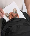 PUMA Buzz Stylish Backpack for Everyday Use