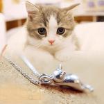 Cute Cat Lover 3D Pendant Necklace in Silver
