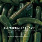 Pine Scented Bath Oil for Soothing Relaxation