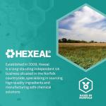 Hexeal Magnesium Flakes for Soothing Baths & More