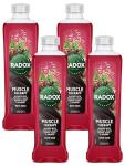 Radox Muscle Therapy Bath Soak with Minerals 500ml