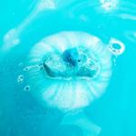 Zimpli Kids Dino Surprise Bath Bombs Gift Set