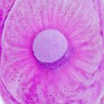 Zimpli Kids Large Unicorn Surprise Bath Bomb