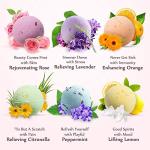 Vegan Spa Bath Bomb Gift Set – 12 Fizzy Balls