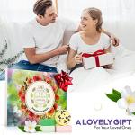 Serenity Circle Shower Steamers - 12 Aromatherapy Set