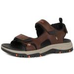 Skechers Men's Brown PREWITT RIGDON Sandals, Size 7