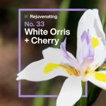 INEOS Hand Wash with Provitamin B5 & Cooling Tech