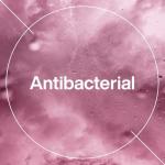 INEOS Moisturising Rhubarb & Tonka Hand Soap 6x500ml