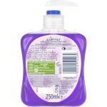 Gruffalo Deep Dark Forest Fruits Hand Wash, 250ml