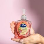 Carex Antibacterial Macadamia Oil Hand Wash, 6 Pack