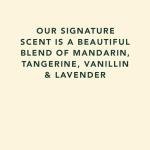 Sukin 1 Litre Cleansing Hand Wash