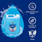 Carex Antibacterial Hand Wash Eco Refill 10L