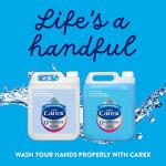 Carex Antibacterial Hand Wash Eco Refill 10L