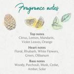 Moss & Adams Vegan Antibacterial Handwash - Cedarwood