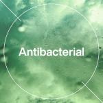 INEOS Cucumber & Aloe Vera Hand Soap (6 Bottles)