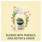 Radox Mineral Therapy Antibacterial Handwash Liquid Soap 250ml