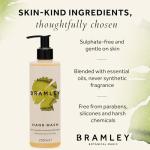 Bramley Antibacterial Lavender Hand Wash 250ml