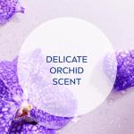 Nivea Cashmere & Cotton Moisturizing Body Wash