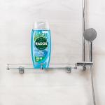 Radox Feel Active Body Wash with Sea Salt & Lemongrass