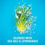 Radox Feel Active Body Wash with Sea Salt & Lemongrass