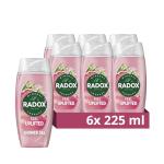 Radox Uplifted Body Wash with Grapefruit & Ginger 6x225ml