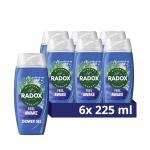 Radox Feel Awake 2-in-1 Body Wash & Shampoo