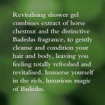 Badedas 3-in-1 Shower Gel Shampoo Conditioner Set