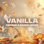 Lynx Black Vanilla Body Wash - 12 Hours Freshness