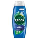 Radox Feel Awake 2-in-1 Body Wash & Shampoo