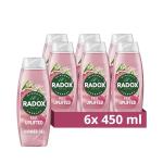Radox Uplifted Body Wash with Grapefruit & Ginger