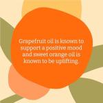 Vegan Grapefruit & Orange Energizing Body Wash