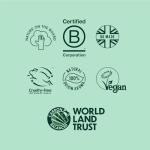 Vegan Grapefruit & Orange Energizing Body Wash