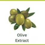 Palmolive Naturals Olive Milk Soap Bars - 12 Pack