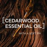 L'Oreal Paris Men Expert All-in-One Wash Bar