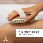 Lebrüke® Dry Body Brush with Storage Bag
