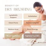 Organic Dry Brushing Body Brush for Smooth Skin