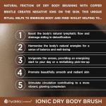 Hydrea London Copper Glow Dry Body Brush