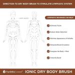 Hydrea London Copper Glow Dry Body Brush