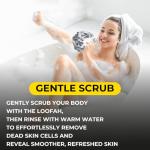 4-Pack Black Mesh Loofah Sponge Set