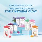 Yardley London Lace Perfume Talc 100g