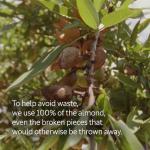 L'OCCITANE Almond Vegan Body Scrub 200ml