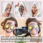 Aloe Vera Dead Sea Mud Mask for Clear Skin