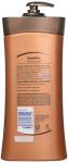 Vaseline Cocoa Radiant Moisture Lotion 600 ml