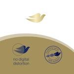 Dove Gradual Tan Lotion for Natural Sun-Kissed Glow