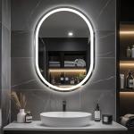 LED Oval Bathroom Mirror with Anti-Fog and Dimming