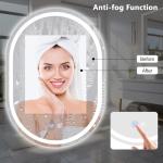 LED Oval Bathroom Mirror with Anti-Fog and Dimming
