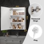 Beliwin 600x800mm LED Bathroom Mirror Cabinet