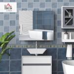 Wall-Mounted Mirror Cabinet with Adjustable Shelf