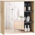 HOMCOM Wall-Mounted Bathroom Mirror Cabinet with Storage