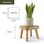 Eden Creations Small Wooden Stool and Plant Stand